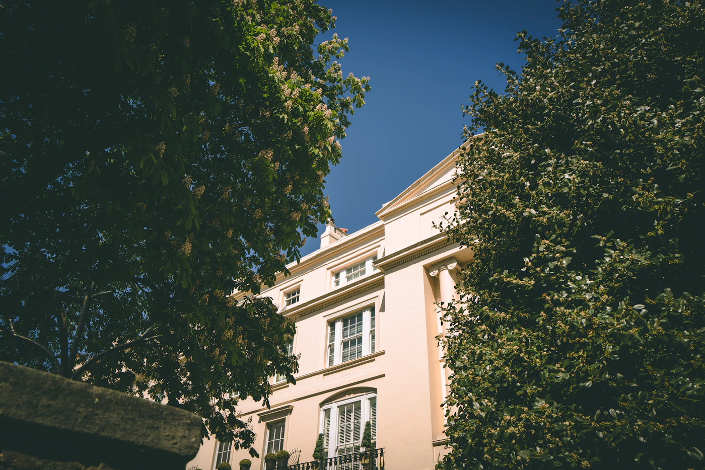 Terraced houses framed by trees near Regent’s Park, London